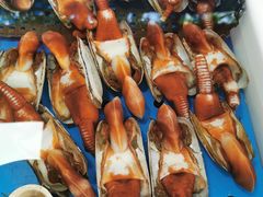 -南沙十九涌渔人码头-南门