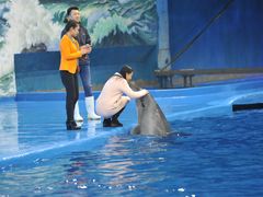 -多彩贵州城极地海洋世界