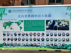 -中国大熊猫保护研究中心雅安碧峰峡基地