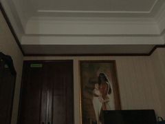 -维也纳国际酒店(深圳新洲店)