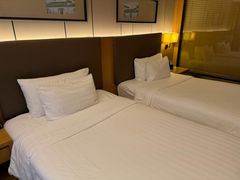 -徐州博顿温德姆酒店(高铁东站店)