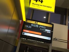-谢列梅捷沃国际机场