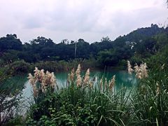 -黄公望隐居地