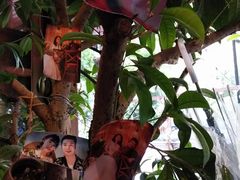 -宝翠花园餐厅(沙湖店)