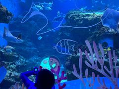 -海合安成都极地海洋公园