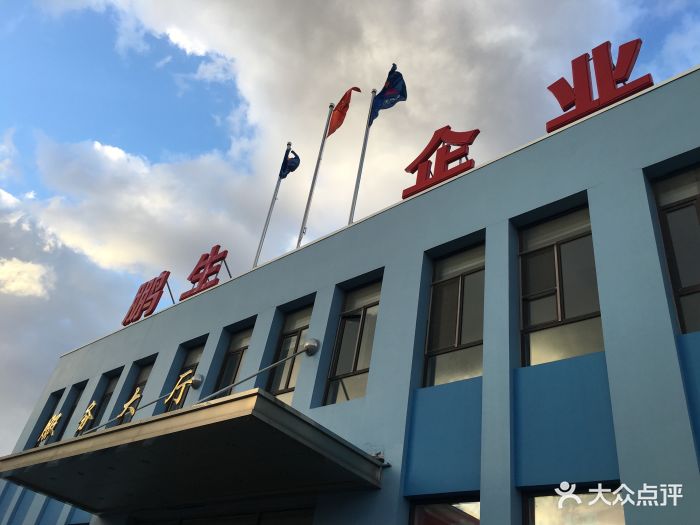 大连鹏辉蓝天机动车检测中心图片 - 第8张