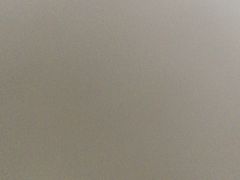 -老北京前门烤鸭(北中路99店)