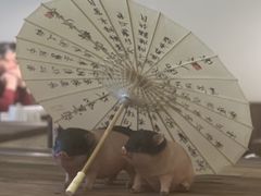 -春家·非遗手工小吃(徐汇万科广场店)