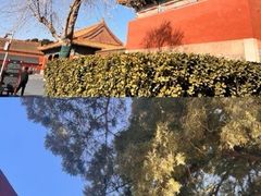 -故宫博物院(故宫)