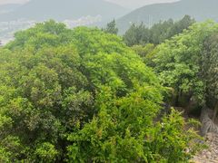 -云龙山