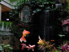 -白天鹅宾馆-宏图府餐厅