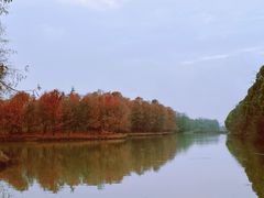 -上海海湾国家森林公园