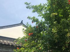 -龙潭水乡