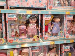 -TOYSRUS玩具反斗城(苏州中心店)