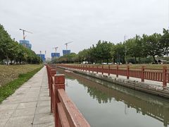 -海上田园