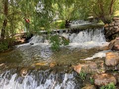 -长白岛森林公园