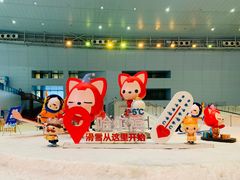 -哈尔滨热雪奇迹