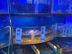 水产区-沈家门小海鲜