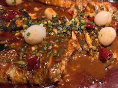 -鱼酷活鱼烤鱼(南京水游城店)