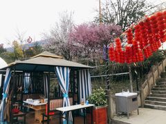 -马帮寨院坝火锅(龙港公园店)