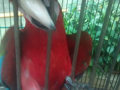 android_upload_pic-乐汇城