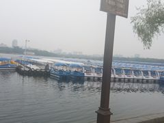 -长春市南湖公园