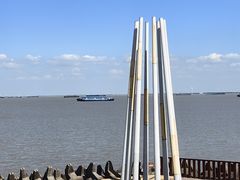 -上海滨江森林公园