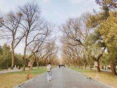 -天坛公园
