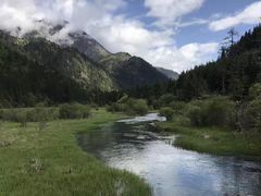 -五营红松林海景区