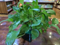 -新华书店(解放路店)