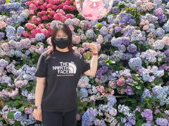 -苏州上方山国家森林公园