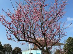 -太阳岛旅游度假区