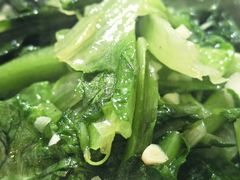 -煲来饱去冷水鱼