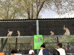 -长白岛森林公园