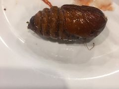 -京朋串屋·烧烤(望京西路总店)