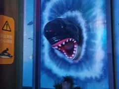 -海合安成都极地海洋公园