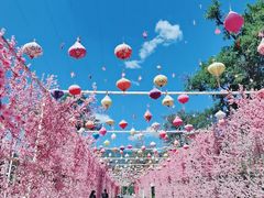 -北京凤凰岭