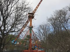 -朝阳公园游乐园