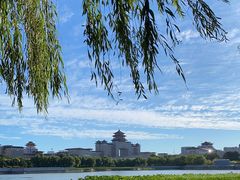 -莲花池公园