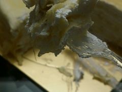 -OL’s Cake鲜荟千层(东风中路店)