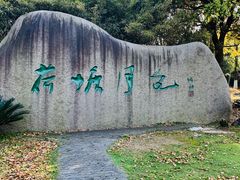 -荷塘月色湿地公园·向阳花洲