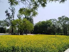 -北坞公园