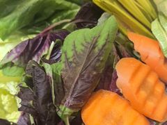 -原林野山菌火锅·炒菌(关上野生菌一条街店)