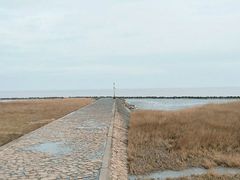 -南汇嘴观海公园