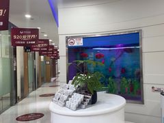 -雅悦齿科(顾村公园店)