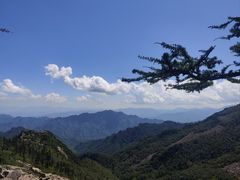 -朱雀国家森林公园