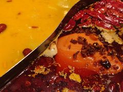 -朱光玉火锅馆(正弘城店)