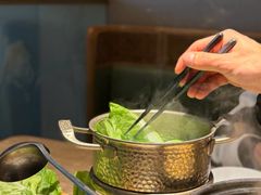 -佬肥猫(七宝宝龙店)