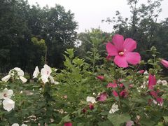 -东郊湿地公园