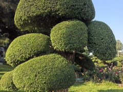 -永定河休闲森林公园